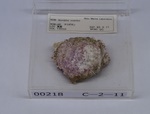 IMG_2889-t.jpg