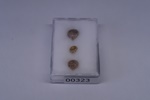 IMG_3010-t.jpg